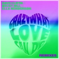 Crazy What Love Can (with Becky Hill & Ella Henderson)(David Guetta & James Hype Remix)