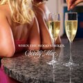 WHEN THE MOOD STRIKES (Explicit)