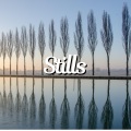 Stills