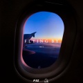 Flying By