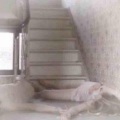 KidSnorlax - heart shade (Explicit)