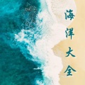 海洋大全:器乐歌曲和所有的水声,海洋波浪、水滴、小海湾、海洞、水下世界,大自然声音收藏