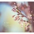 郑不懂 - 花开那年