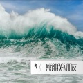秦飞 - 感谢