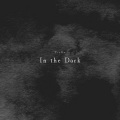 In the Dark