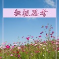 Positive 态度 - 相信你