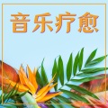 音乐疗愈 – 轻松的歌曲,适合睡眠,安静时刻的歌曲