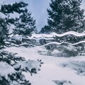 DjSunnyMega - In My Feeling (House Mix)