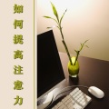 大脑开发 - 新的我