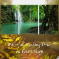 Sleeping Music For Dogs、Baby Sleep TaTaTa、Calming Beats - Waterfall Rushing Down on Forest Steep - 1 Hour