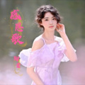 陶莹 - 感恩歌