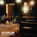 Meadowlark - Lightning