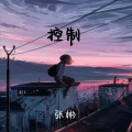 张彬 - 控制