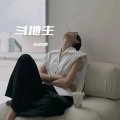 BGM迷 - 斗地主背景音乐 (DJ版)