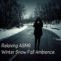 Relaxing ASMR Winter Snow Fall Ambience - 1 Hour