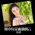 张婷 - 风中有朵雨做的云