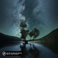 Honeyfox、FOUND.、Guitar Mage、Stan Getz、Hugo Peretti、Luigi Creatore - Can't Help Falling In Love With You