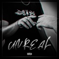 DMS 0fficial、Panzer - Unreal (Explicit)