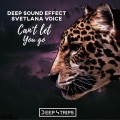 Deep Sound Effect、Svetlana Voice - Can't Let You Go (Original Mix)