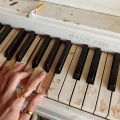Rio Romeo - Missus Piano