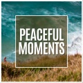 Calm Music for Sleeping - Baby Soothe