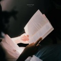 헤이훈 - 여름밤