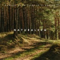 Naturaleza: Sonidos De Un Sueño En El Bosque