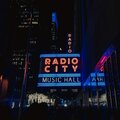 TeeBee - Attention