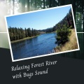 Pure Baby Sleep、Study Music and Piano Music、Light Morning Music - Relaxing Forest River with Bugs Sound - 1 Hour
