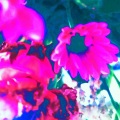 EXCILLEX - Chloe库洛伊-虹 (EXCILLEX REMIX)