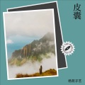 杨苑子艺 - 皮囊