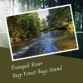 Hi Freq Samples、Alpha Waves、Mellow Sunday Morning Music - Tranquil River Deep Forest Bugs Sound - 2 Hours
