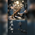浅歌、橝栖、陌翎、景卿、安安之、Nigel - 琴瑟在御