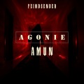 Agonie (Explicit)