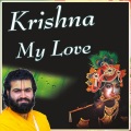 HDH Shri Vrajrajkumarji Mahodayshri、VYO、Vallabh Youth Organization - Shri Krishna Sharnam Mamah