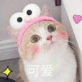 锦零 - 想要你知道