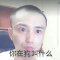风钰 - 我不是你的宋冬野