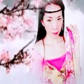 曾宪绪 - 一生只愿爱一次