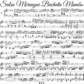 Salsa Merengue Bachata Mambo