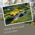 Binaural Landscapes、Baby Sleep Baby Sounds、The Baby Lullabies Factory - Calming Nature Sound of Forest River - 2 Hours