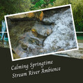 Meditation Music Playlist、Sleep Lab、The Studying Music Network - Calming Springtime Stream River Ambience - 1 Hour