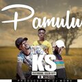 Pamulu (feat. Celeb City Chanda Na Kay) [Explicit]