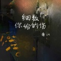 细数你给的伤