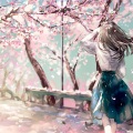 AnRain安林 - 江南樱花忆