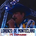 14 Temazos
