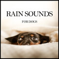 Música Relajante para Perros、Sleepy Dogs - Rain Sounds for Dogs, Pt. 45