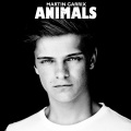 Animals (Radio Edit|Explicit)