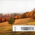 音小白小布 - 信念之光