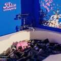 阿克江Akin、YEHAIYAHAN、Delf - Blue Whispers