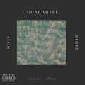 Guarantee (Explicit)